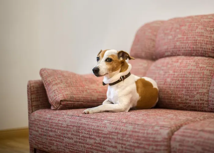 Tiltu 5 Appartamento